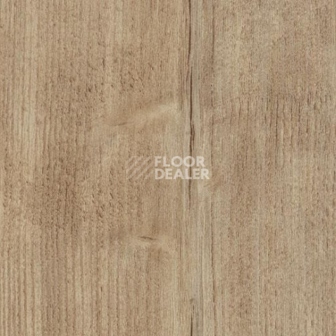 Кварцвиниловые полы Forbo Allura Click Pro 60082CL5 natural rustic pine фото 1 | FLOORDEALER